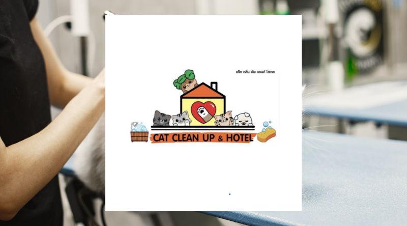 Cat Clean Up & Hotel