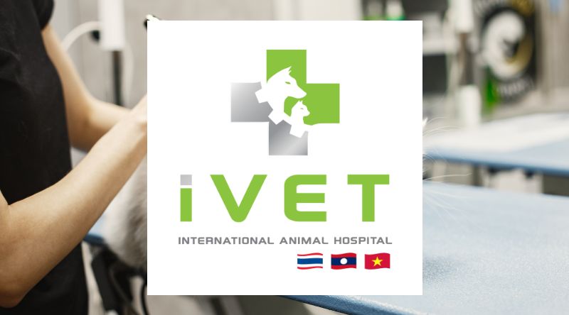 iVET Animal Hospital