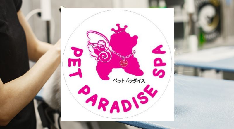 Pet Paradise Spa